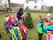 Advent ve školce, zvyky a tradice